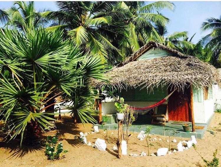 Sun Wind Beach Kalpitiya Kite Resort Exterior foto
